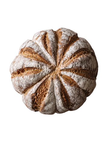 BREAD, OUR PRIDE